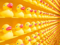 Microsoft рассказала об опасном вирусе для Windows и Linux